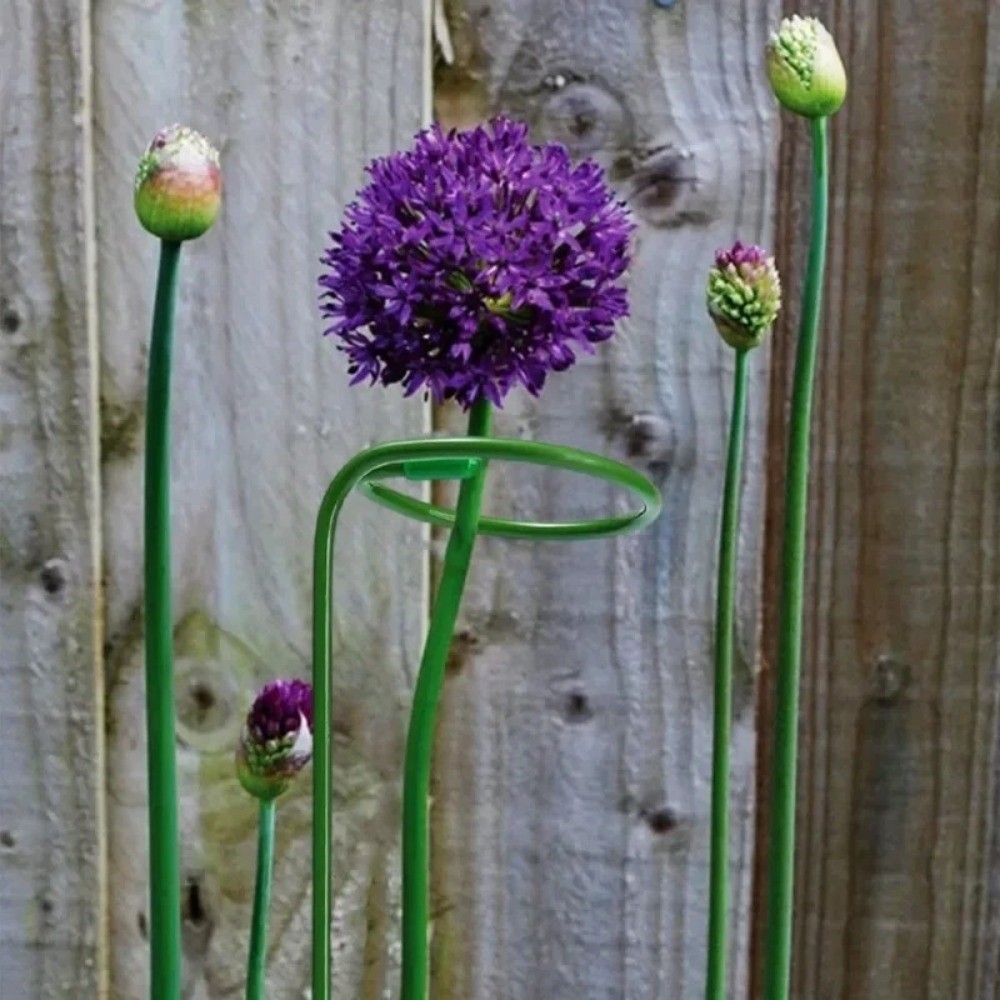 New Metal Support Frame Anti-d - Gardening Tools For Beginners review and price