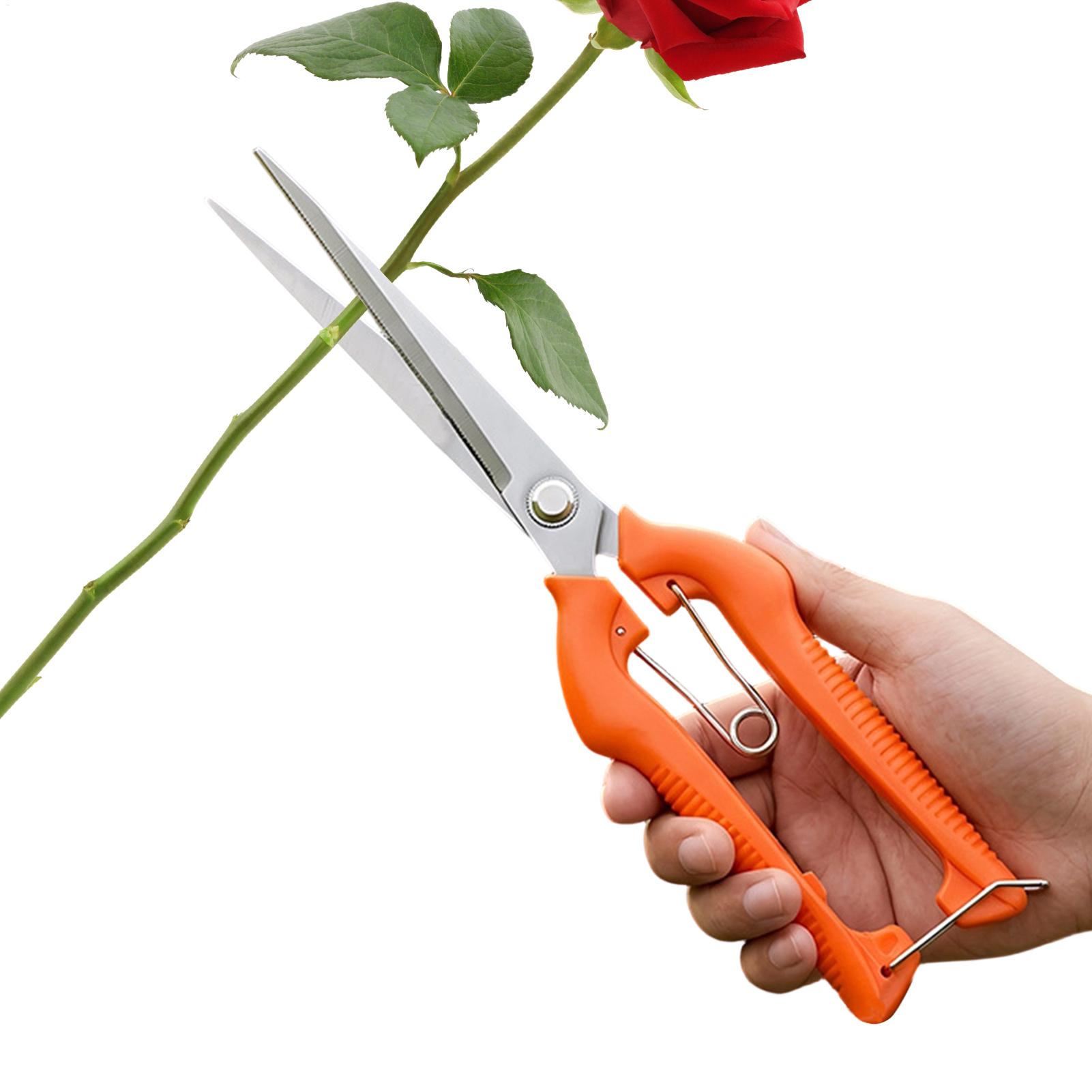 Pruning Shears Grape Scissors  - Gardening Tools For Beginners review and price