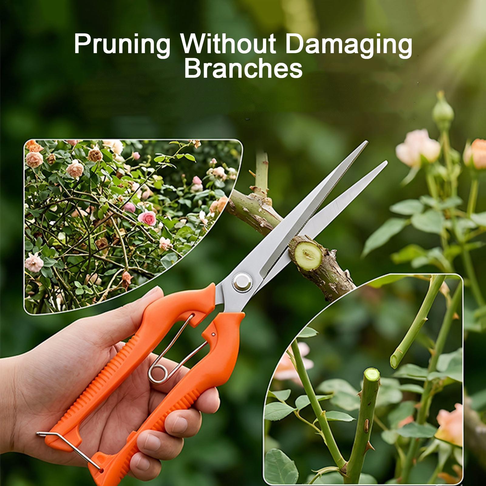 Pruning Shears Grape Scissors  - Gardening Tools For Beginners review and price