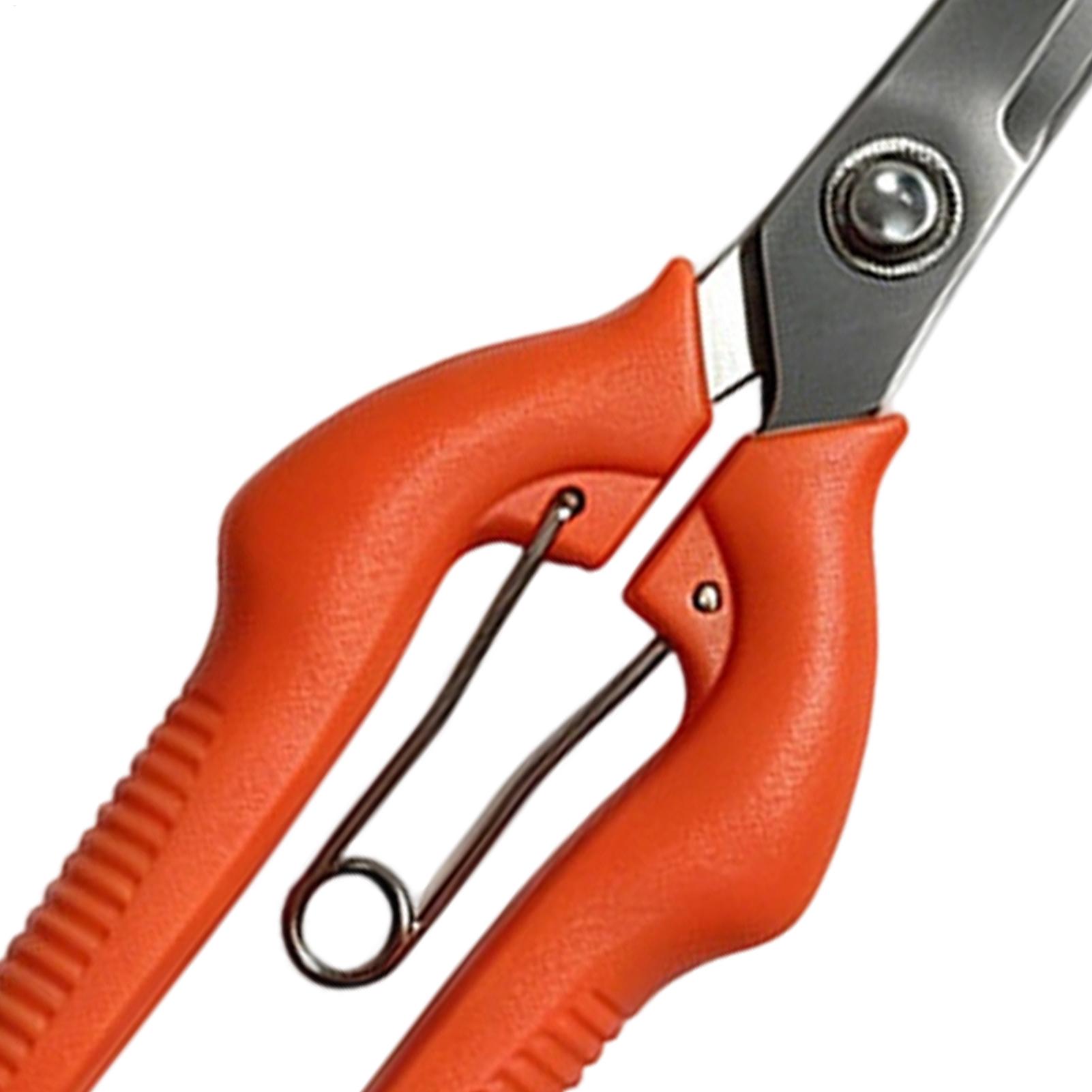 Pruning Shears Grape Scissors  - Gardening Tools For Beginners review and price