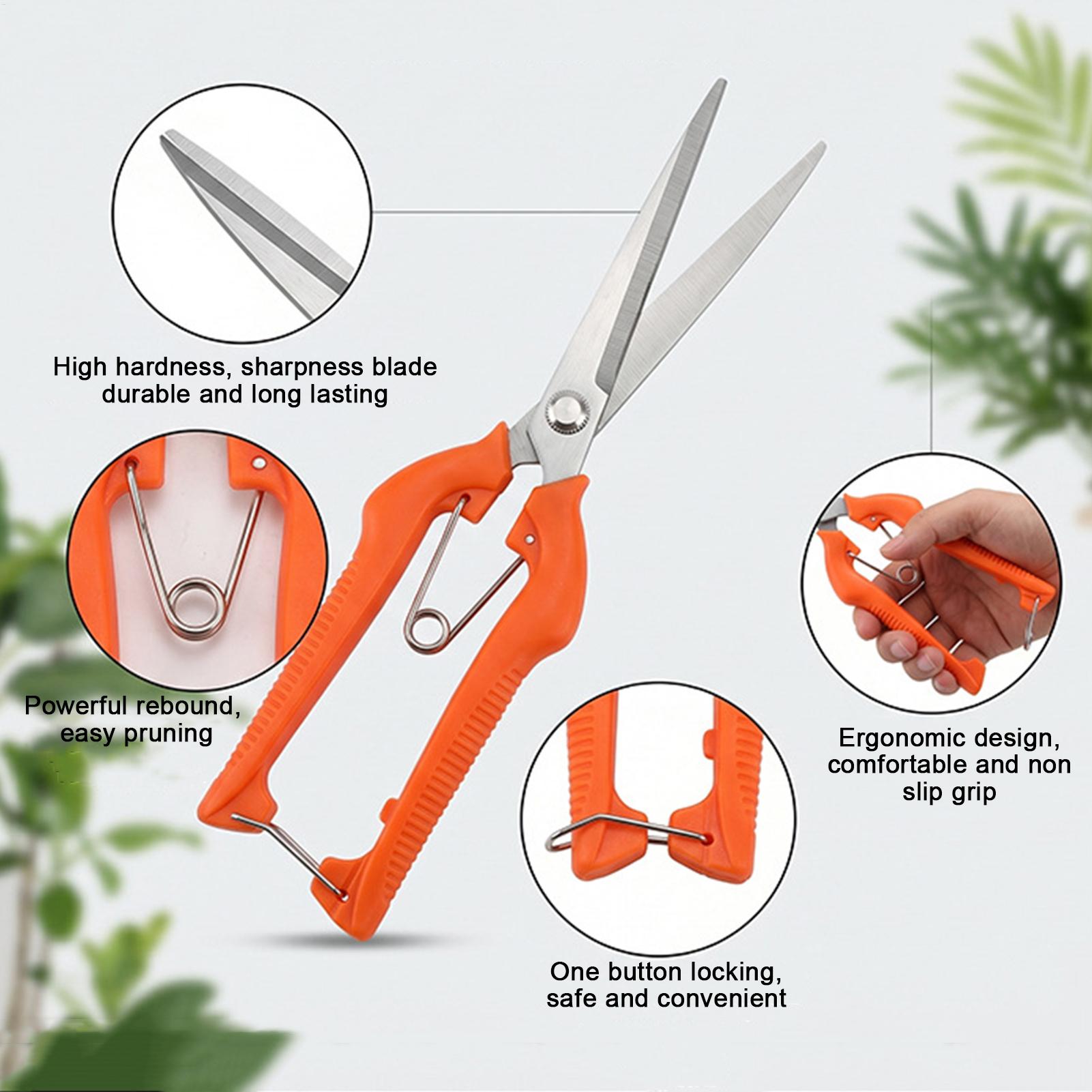 Pruning Shears Grape Scissors  - Gardening Tools For Beginners review and price