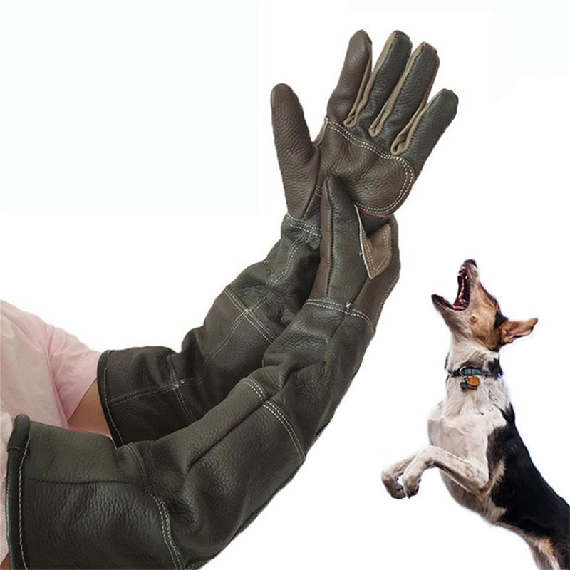 Pet Gloves Cowhide Leather Ant - Gardening Tools Gloves review and price