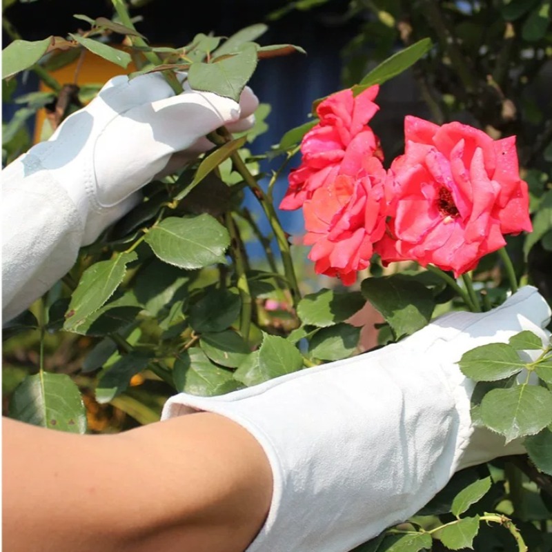 A Pair of Garden Gloves Thorn  - Gardening Tools Gloves review and price