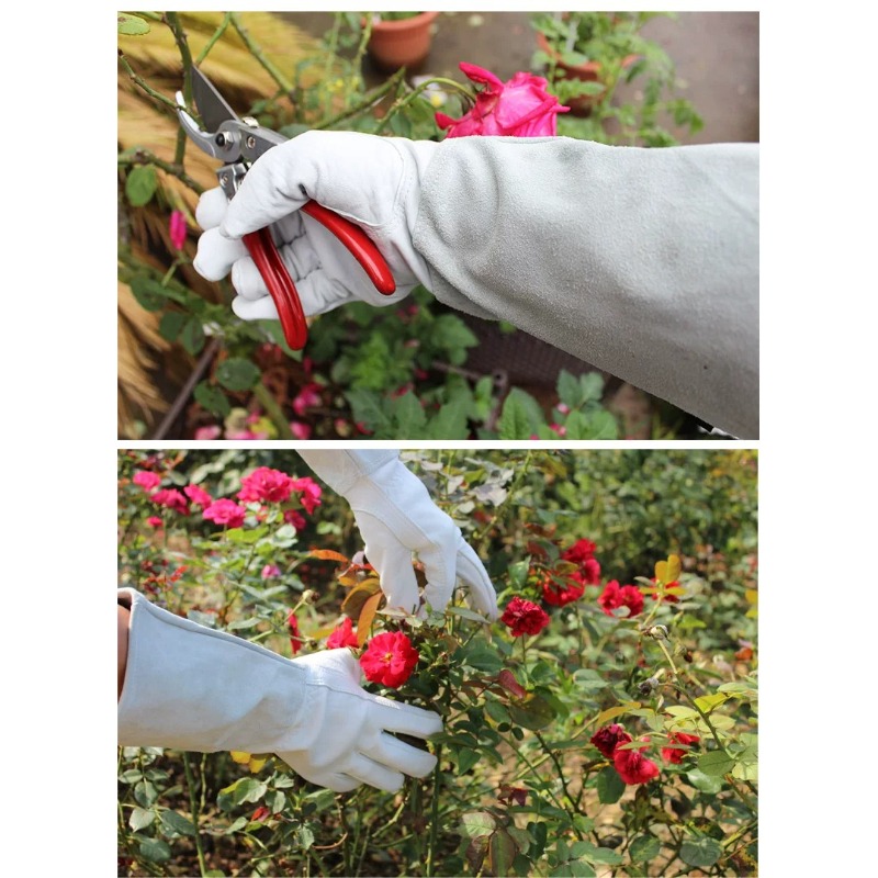 A Pair of Garden Gloves Thorn  - Gardening Tools Gloves review and price