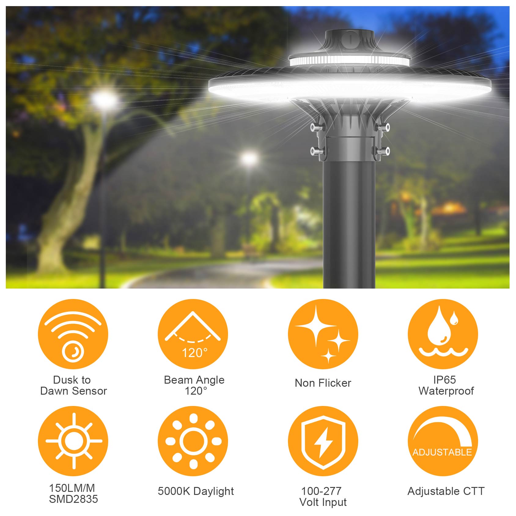 LED POST TOP Fixture ETL CE UL - Gardening Tools List review and price