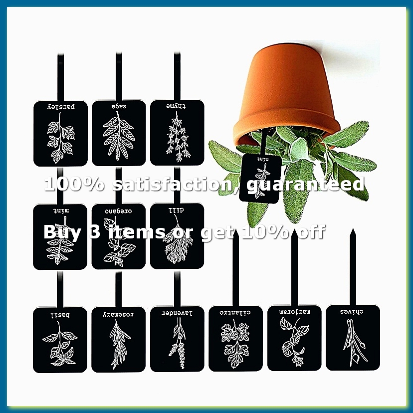 24Pcs Acrylic Plant Label Sign - Gardening Tools With Names review and price