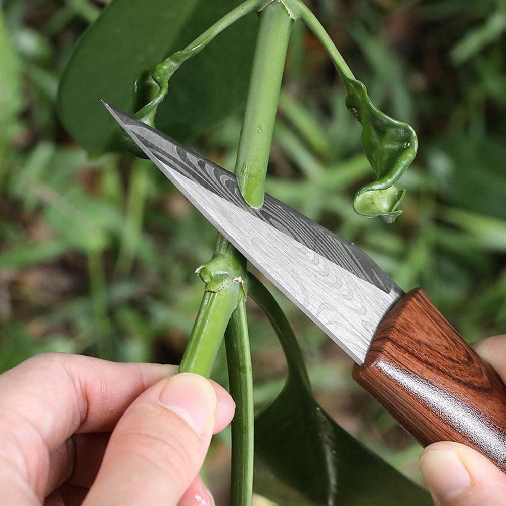 Sharp Grafting Knife with Wood - Gardening Tools For Beginners review and price
