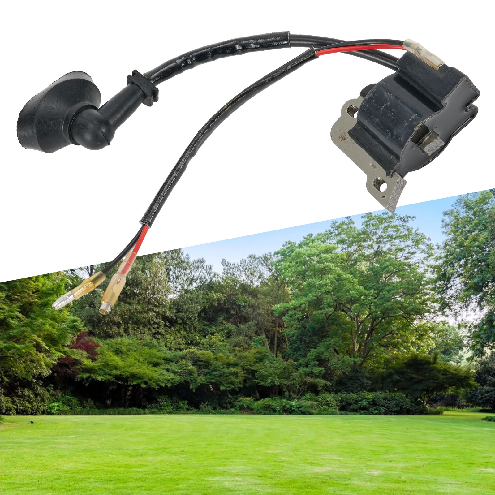 for Ignition Coil Subassembly  - Gardening Tools List review and price