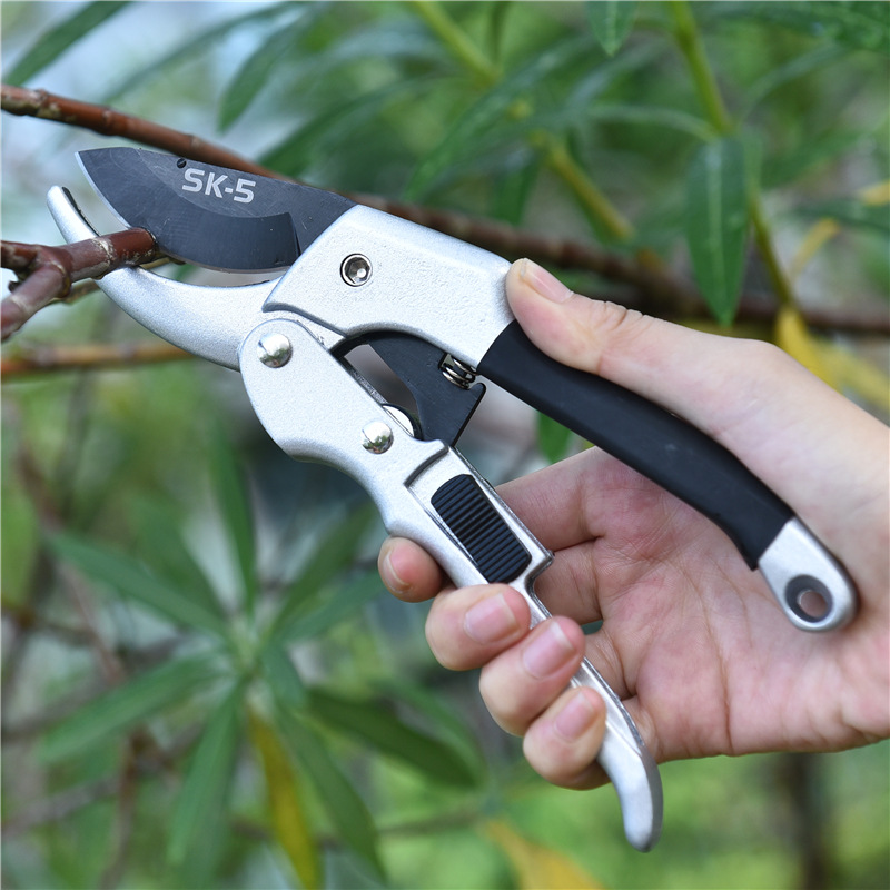 New 20cm Ratchet Plant Trim Ho - Gardening Tools For Beginners review and price