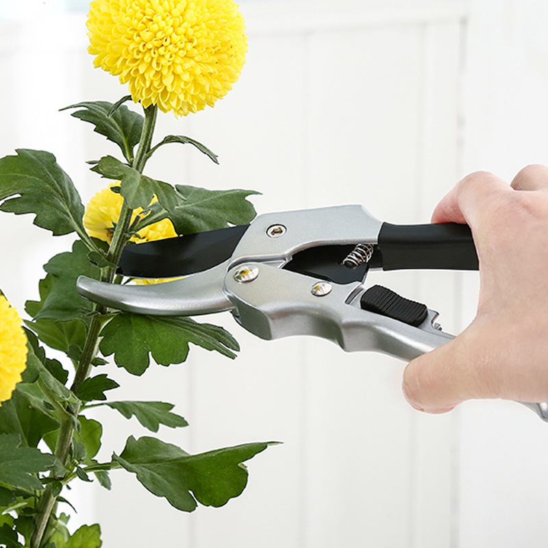 New 20cm Ratchet Plant Trim Ho - Gardening Tools For Beginners review and price