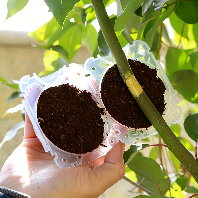 10Pcs High Pressure Plant Root - Gardening Tools Kit review and price