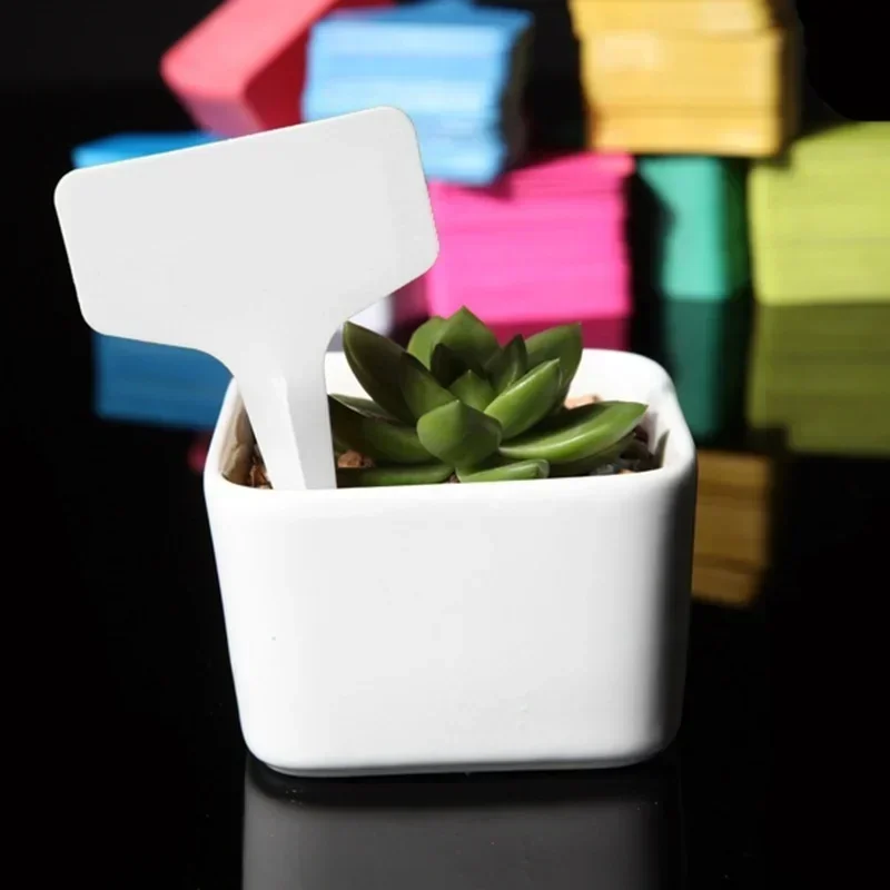 20 Pcs Plastic Waterproof Plan - Gardening Tools With Names review and price
