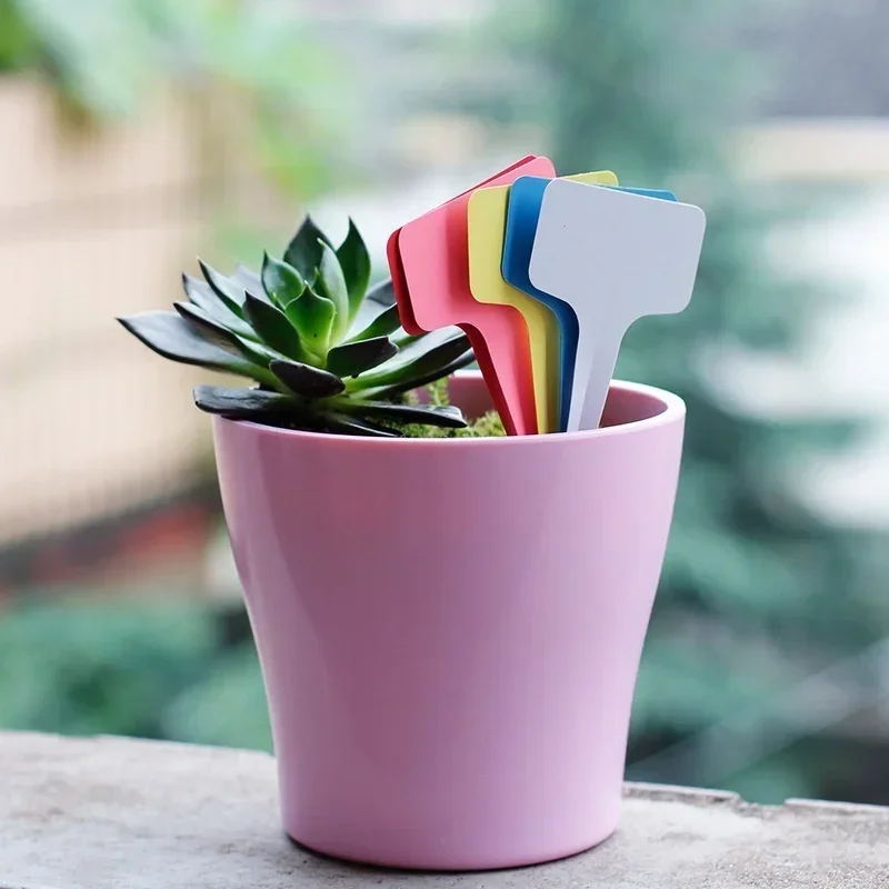 20 Pcs Plastic Waterproof Plan - Gardening Tools With Names review and price