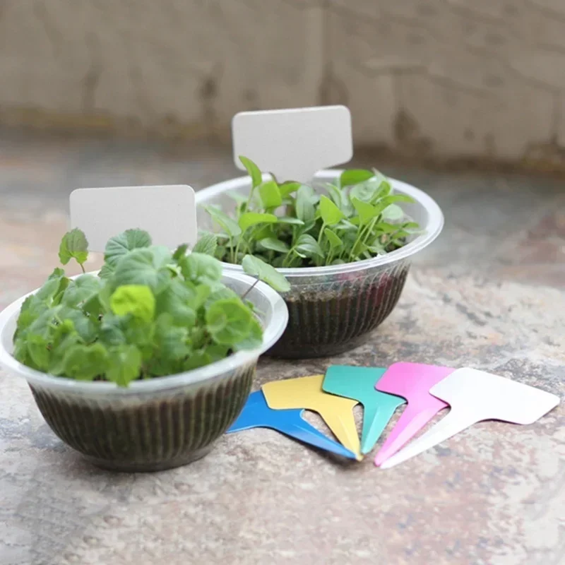 20 Pcs Plastic Waterproof Plan - Gardening Tools With Names review and price