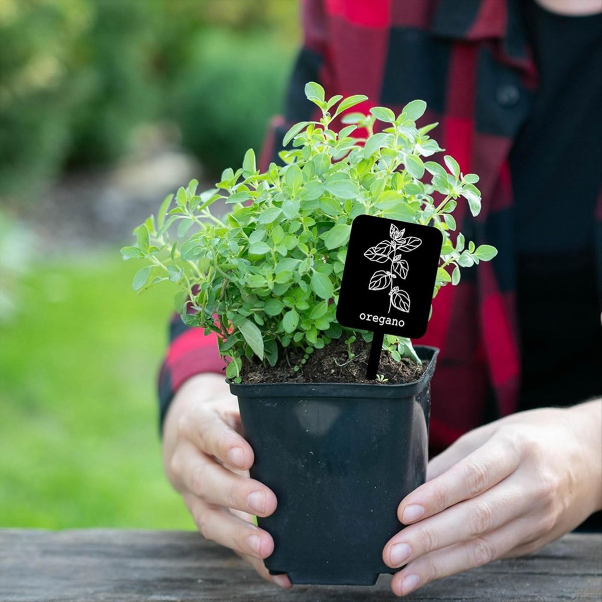 AA14 24Pcs Acrylic Plant Label - Gardening Tools With Names review and price