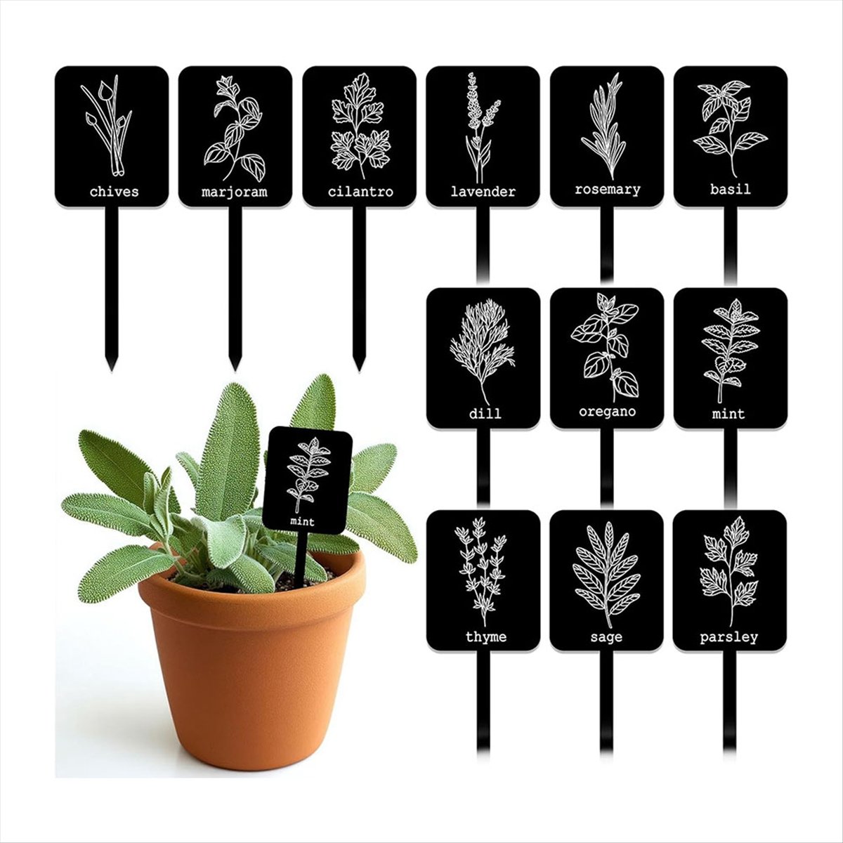 AA14 24Pcs Acrylic Plant Label - Gardening Tools With Names review and price